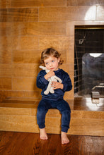 Load image into Gallery viewer, Velour Bunny Set- Blue
