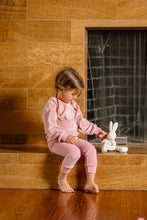 Load image into Gallery viewer, Velour Bunny Set- Pink
