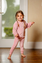 Load image into Gallery viewer, Velour Bunny Set- Pink