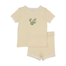 Load image into Gallery viewer, Fruit Set- Yellow